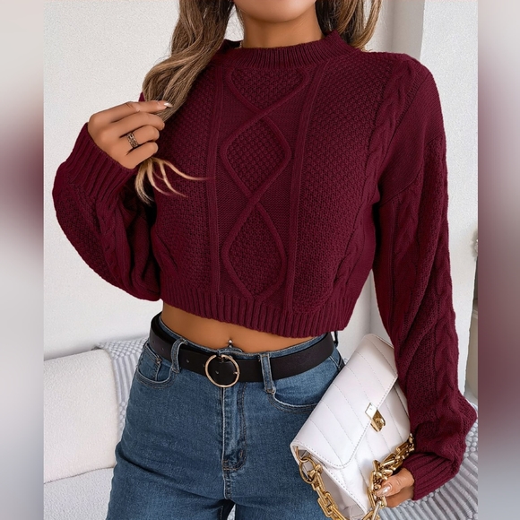 Waffle Cable Knit Crop Top Round Neck Long Sleeve Minimalist Sweater Shirt Red - Picture 2 of 9